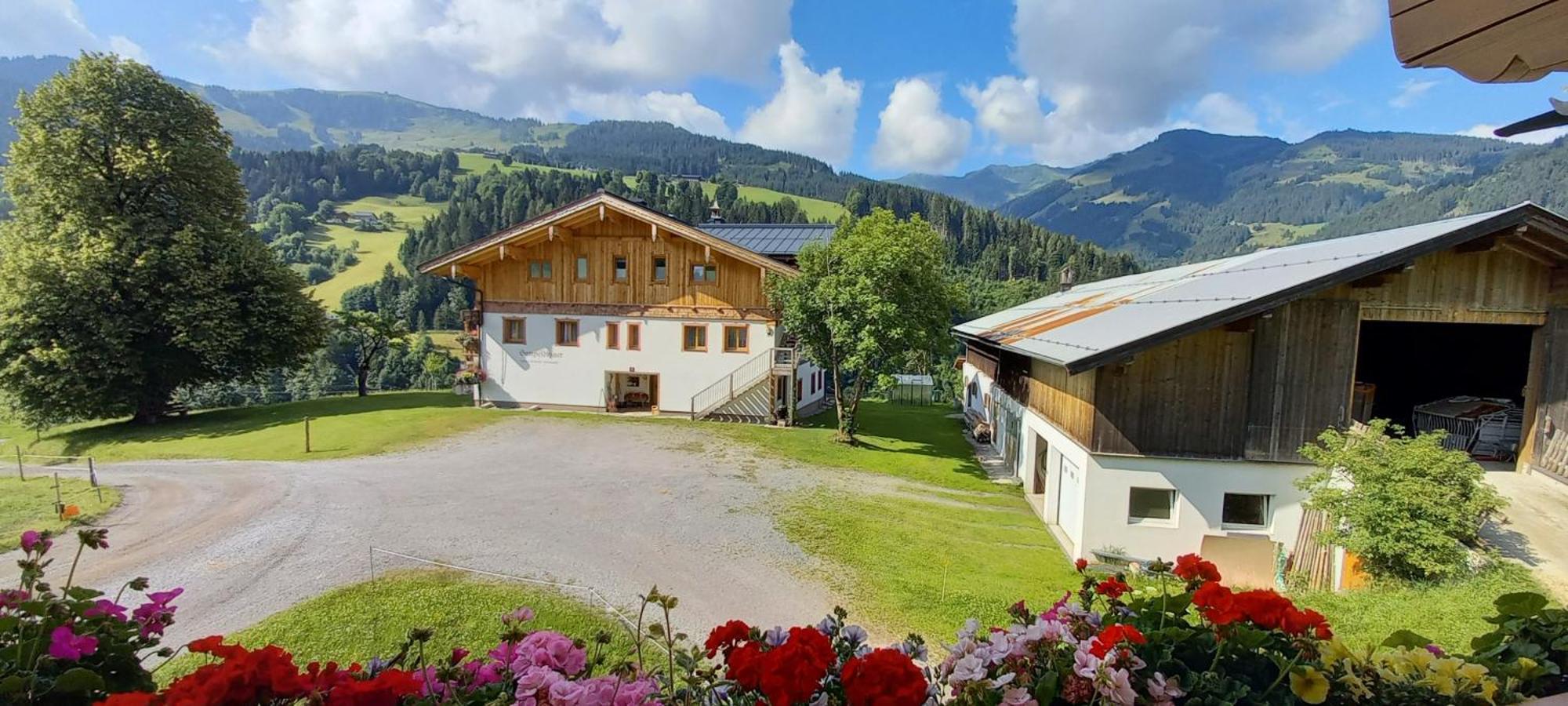 Gumpoldbauer Villa Maria Alm am Steinernen Meer Ngoại thất bức ảnh